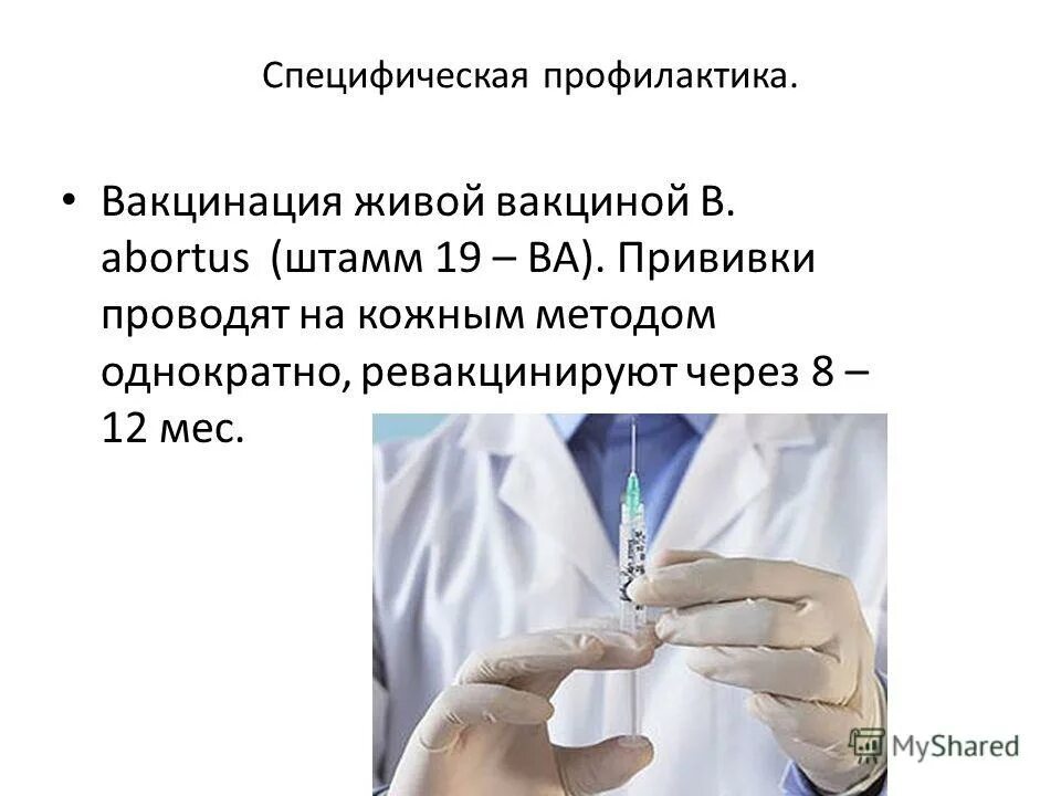 гемофильная прививка акт хиб. специфическая профилактика это. специфическая профилактика вакцинация. специфическая профилактика дифтерии проводится препаратом:. парагрипп профилактика специфическая и неспецифическая.