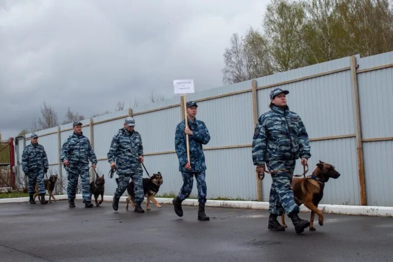 Кинологическая служба россии. Кинологический центр Вологда МВД. Кинологический центр ФТС. Полицейский кинолог.