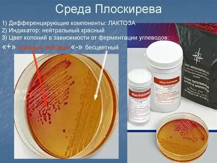 Среда для выделения сальмонелл