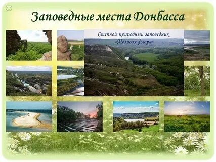Проект донбасса