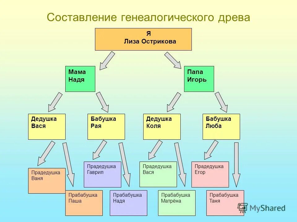 Составляющая семьи. Составить генеалогическое дерево. Как составить родословную. Как составить семейное Древо. Родословная как составить.