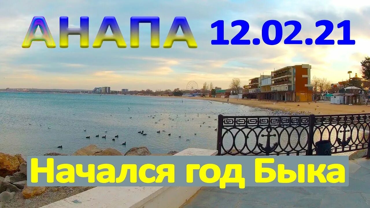 Когда потеплеет вода в черном море анапа. Зимуй в анапе. анапа зимой температура. зима в анапе приколы.
