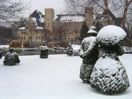 Big snow