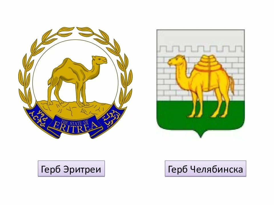 Эмблема челябинска. Герб эритреи. герб челябинска. эритрея флаг и герб. герб с верблюдом город россии.