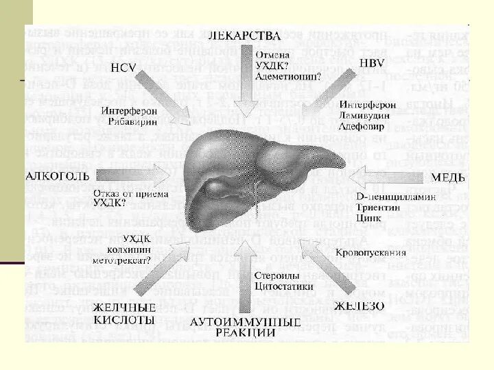 Сестринский процесс при циррозе печени. Цирроз печени сестринский процесс. Цирроз печени Сестринское вмешательство. Схема сестринского процесса при циррозе печени.