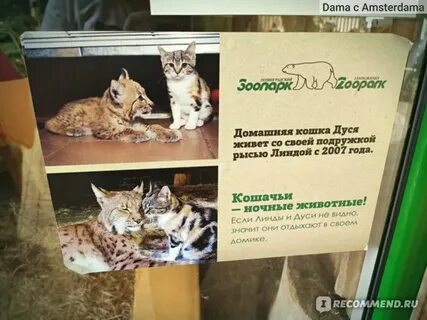 Петербург зоопарк билеты