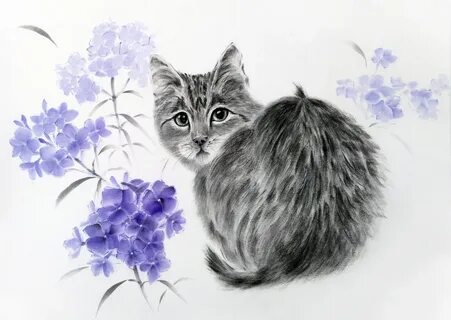 Кошку марту