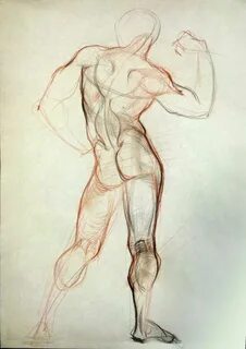 Drawing bodies