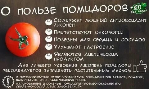 Польза и вред помидоров