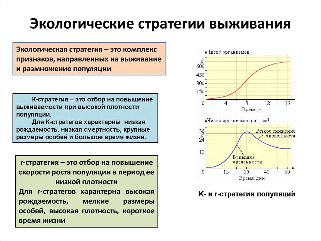 Стратегии выживания экология. Стратегии выживания популяций в экологии. Экологические стратегии выживания примеры. Кривые выживания популяции стратегии выживания.