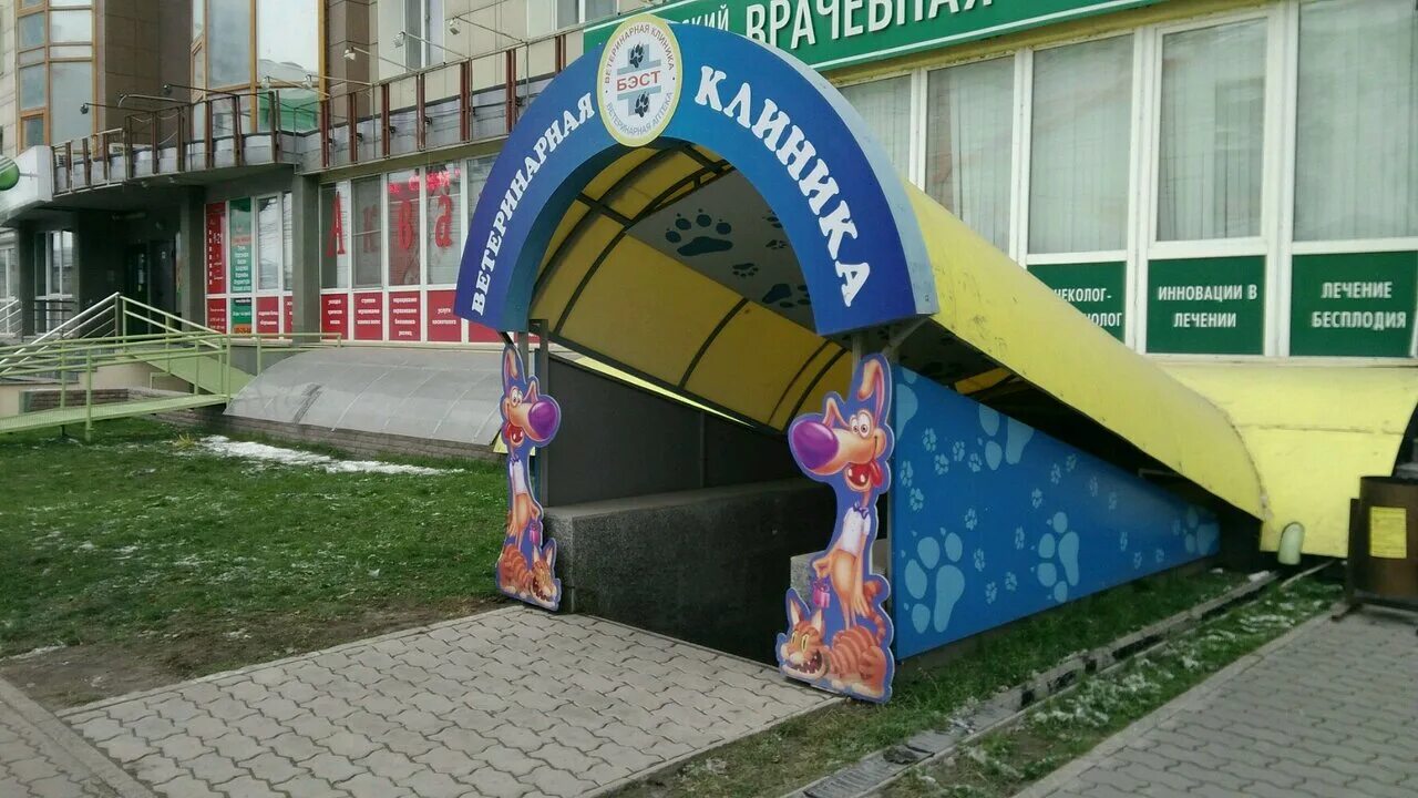 Покрышкина 1 Новосибирск ветеринарная клиника. Бэст ветеринарная клиника. Вет клиника Бэст Новосибирск. Зооклиника Новосибирск Бэст. Бэст новосибирск сайт