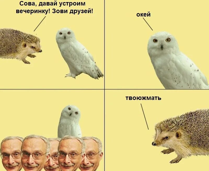 Друзья сколько сов. Мемы с совами. друзья мем. сова мем. много друзей мем.