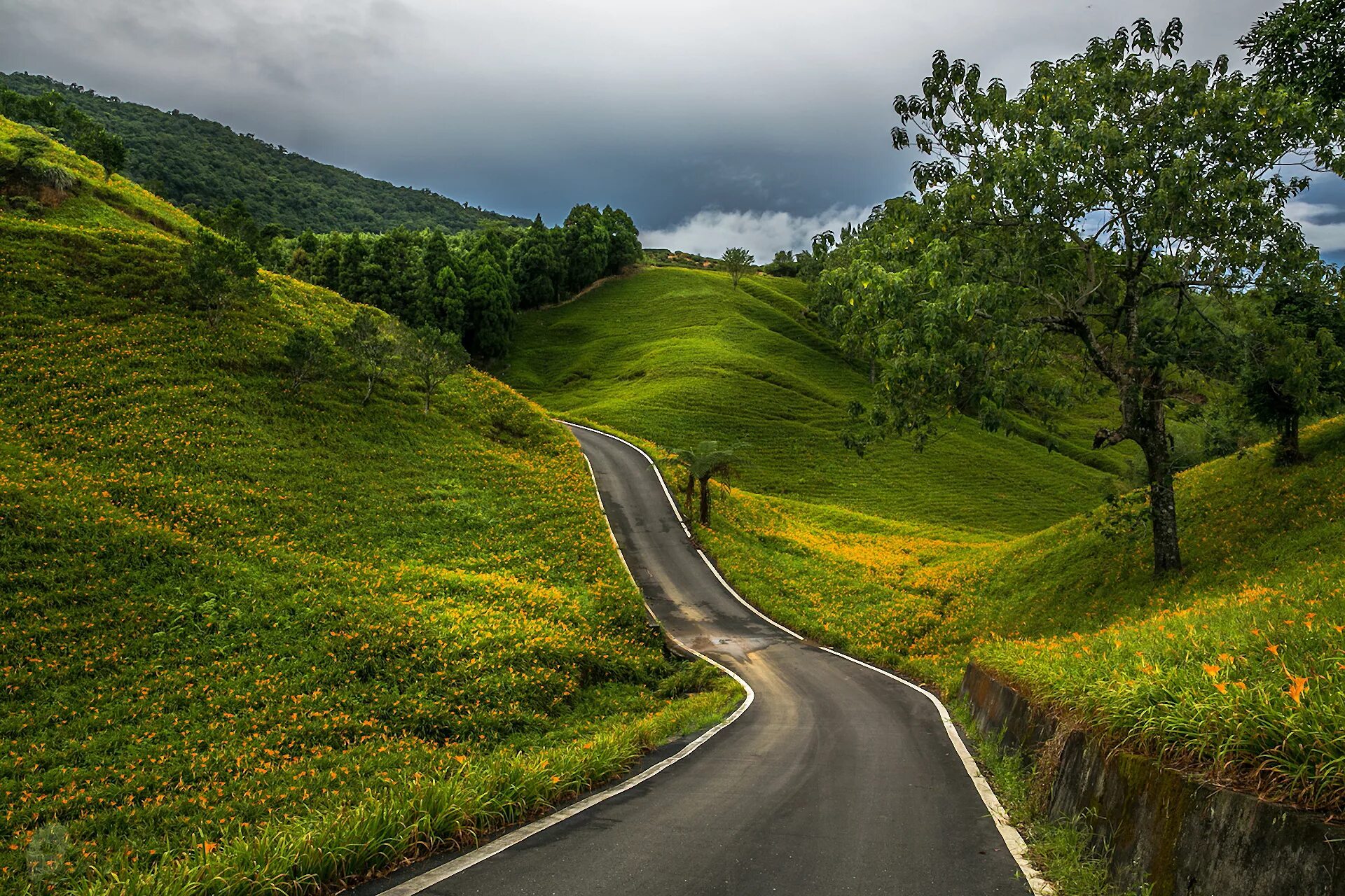 Road views. Извилистая тропа. Извилистая тропа в гору. Красивые дороги. Красивая дорога.