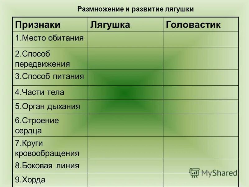 Какая особенность строения дыхательной системы головастиков. Место обитания лягушки и головастика. Части тела головастика и взрослой лягушки. Таблица головастик и лягушка. Сравнительная характеристика головастика и взрослой лягушки.