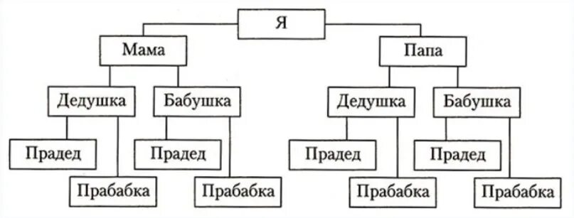 Родословная семьи схема. Как составлять генеалогическое Древо семьи схема. Как составить дерево родословной схема. Составление схемы генеалогического древа. Модель построения семьи