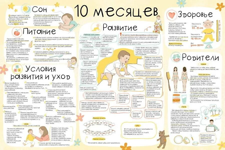 Что умеет девочка в 10 месяцев. Календарь развития ребенка. Календарь развития новорожденных. Календарь развития по месяцам. Что умеет ребёнок в 10 месяцев.