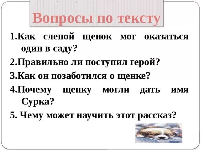 Почему герои так поступили. Изложение щенок 2 класс. План текста щенок. Текст щенок 2 класс. Изножение Текс щенок заблудился.