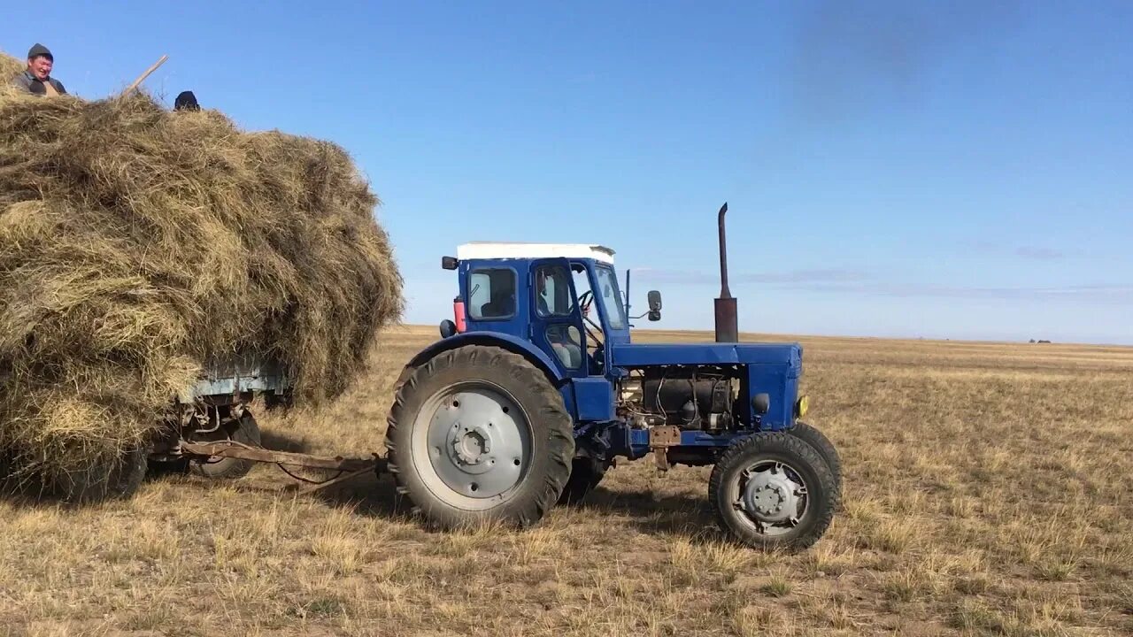 Т-40 ам с прицепом. Трактор т-40 ам с телегой. Трактор т 40 стогомет. Трактор т 40 с телегой. Группа т 40