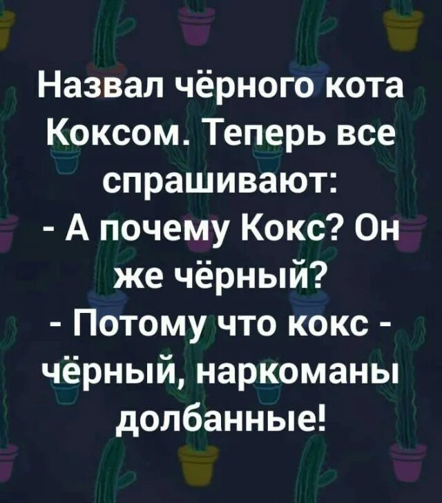 Назвал кота коксом. Назвал черного кота коксом. Назвал кота коксом теперь все спрашивают. Кот кокс Мем. Почему черных нельзя называть черными