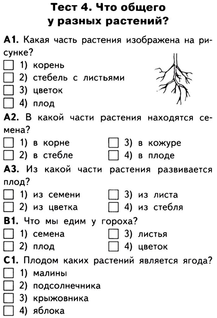 Проверочная работа по растительному сообществу. Тест по окружающему миру растения. Тесты окружающий ми 1 клас. Тест по растениям. Проверочная работа по окружающему миру растения 1 класс.