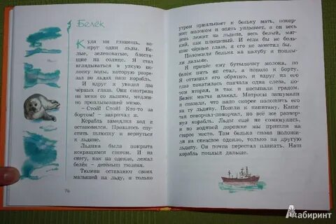 Белек изложение 2