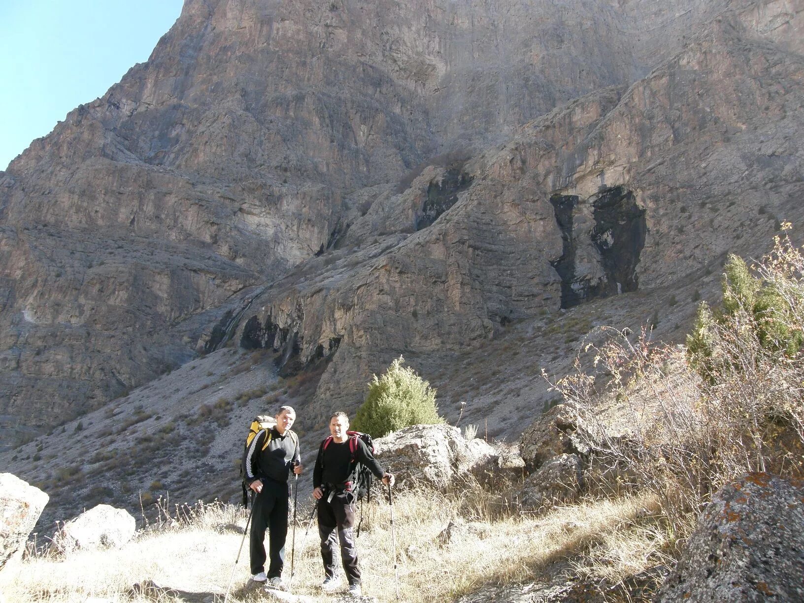 E-qaror электрон тизими. Ягнобская стена фото. Е карор. Е карор. Е карор.