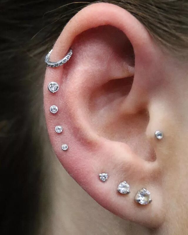 Виды ушек. Хеликс индастриал септум индастриал. Прокол хряща хеликс трагус. Виды ушек. Виды ушек.