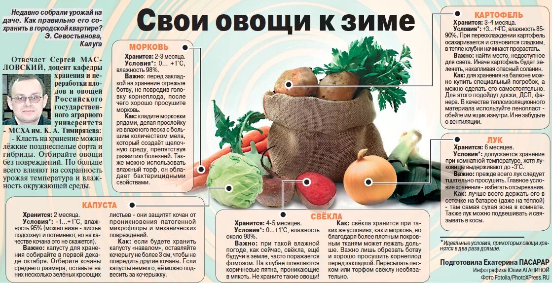 При какой температуре хранится картофель зимой