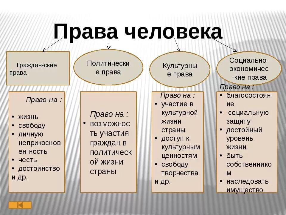 Примеры политических прав человека и гражданина. Виды прав человека.