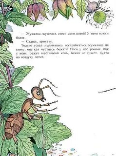 Главная мысль бианки как муравьишка домой