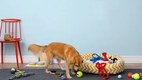 Keep your pets