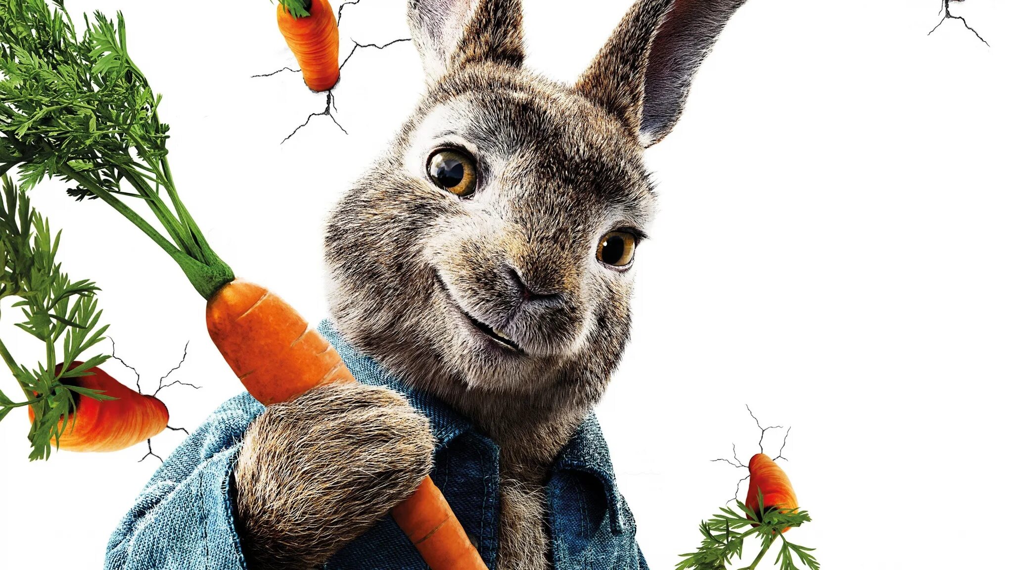 Включи хрум зайцы. Заяц с морковкой. Кролик с морковкой. Креативный фон с кроликом. Заяц с морковкой фото.