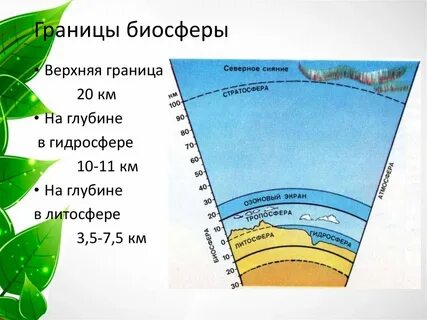 Границы биосферы название