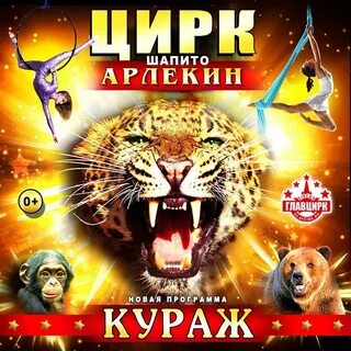 Цирк на комсомольском