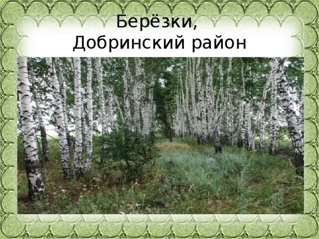 Презентация "Удивительная природа Липецкой области" - коррекционная школа, презе