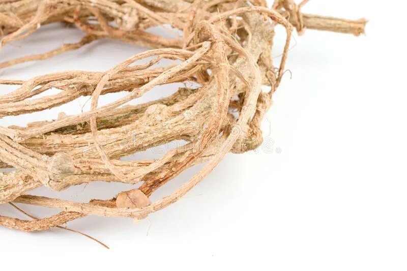 Сухая лоза оживает. Nnb сухая лоза, цвет оранжевый. Сухие ветви. Сухая лоза. Сухая лоза.