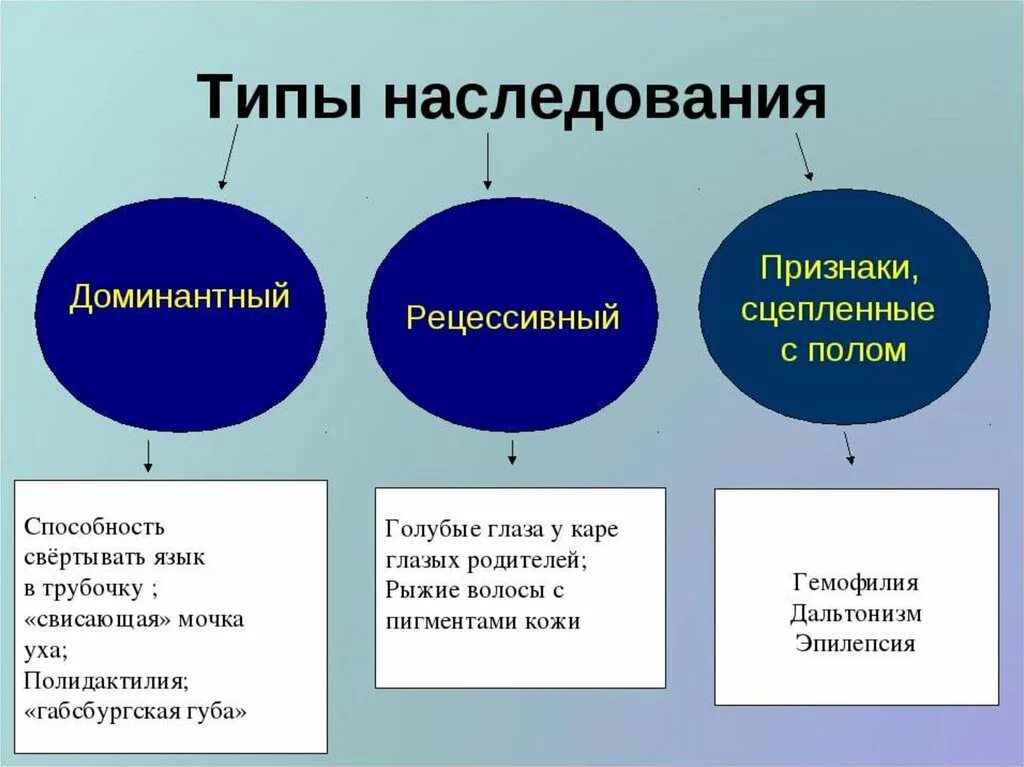 Поджаришь наследуемый пересилишь. Типы наследования признаков генетика. Тип наследования пр знаков. Основные типы наследования признаков. Типы наследования признаков у человека.