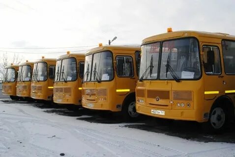 Автобусы школа 6