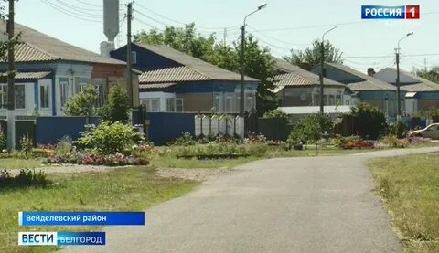 Долгое белгородская область