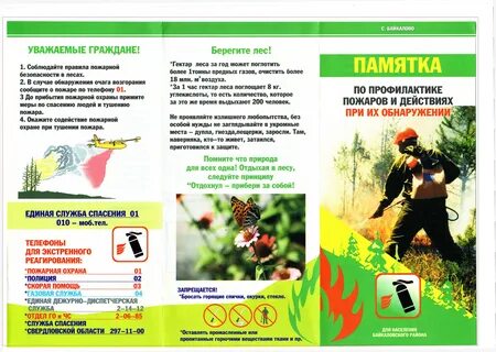Листовки в лесу