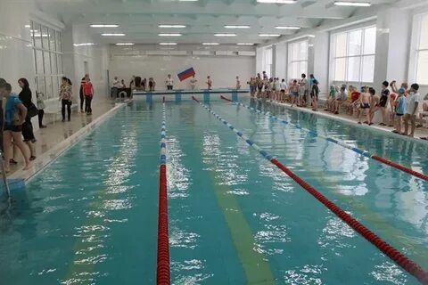 Золотые рыбки бассейн