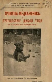 Сухой путь