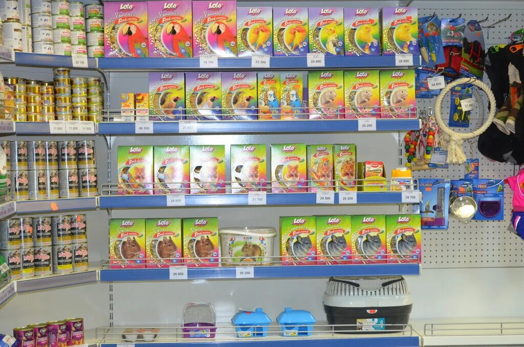 доктор вет рязань. доктор вет гомель. доктор вет пермь. доктор вет гомель. доктор вет гомель.