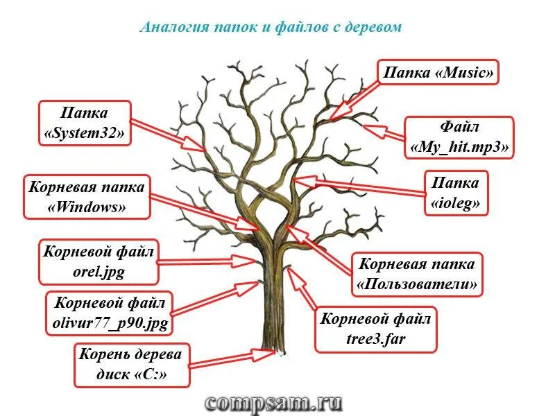 Корневая п. Система дерева. Дерево директорий. Дерево папок. Корневая структура папок.