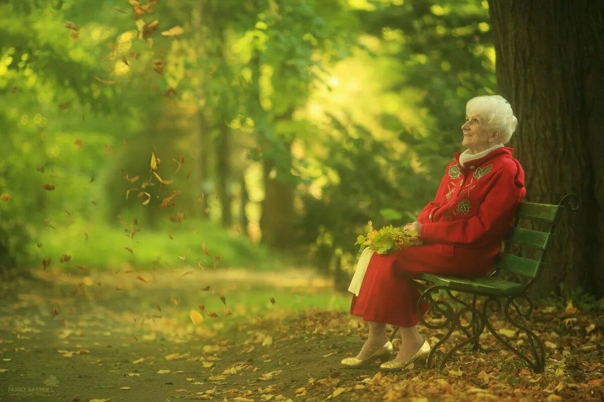 Он рассказывал что летом был у бабушки. Бабушка на скамейке в парке. Бабушка сидит в парке. Бабушка на скамейке осенью. Старик на скамейке в осеннем парке.