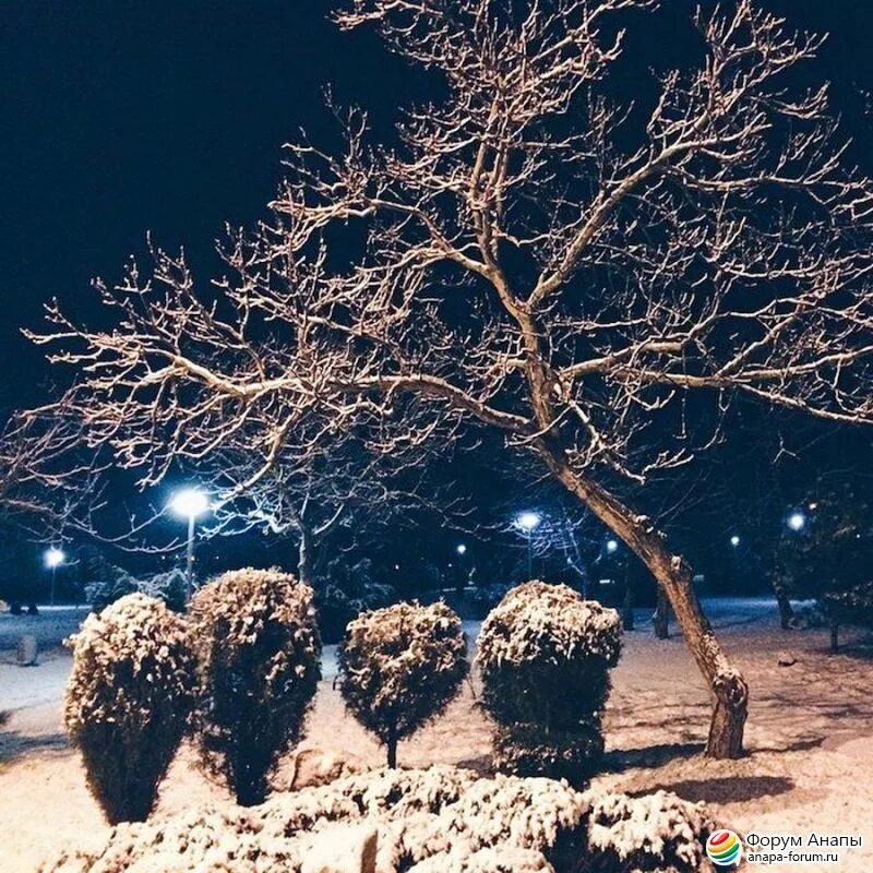 Выпал долгожданный снег. Снег в Анапе. Снежная Анапа. Зимняя Анапа фото. Снег в Анапе зимой видео.