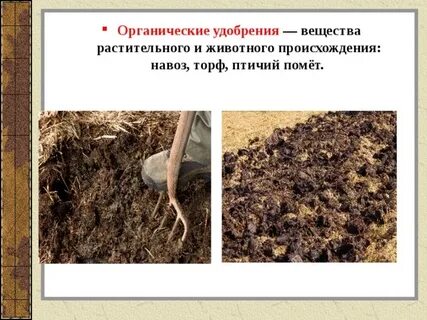Вещество которым удобряют почву для питания растений