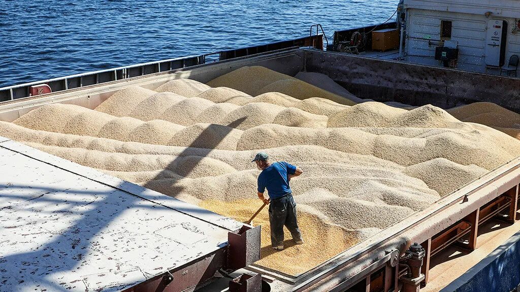 Пшеница в мешках. Кукуруза (зерно). Зерно украина. Закупка зерна. Погрузка зерна на судно.
