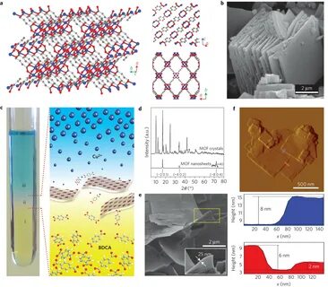 Polymer composite materials