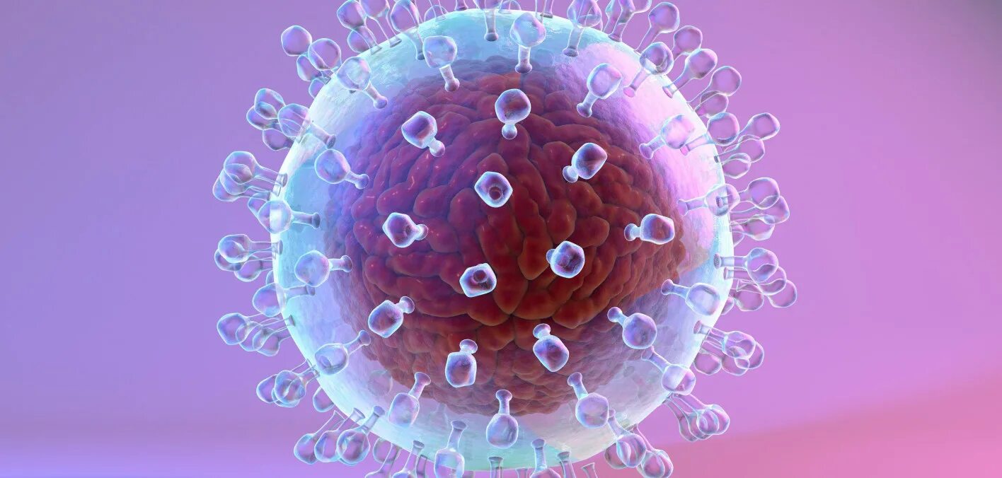 Hiv virus